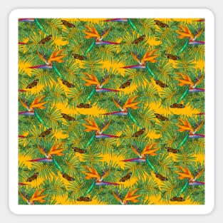 Birds of Paradise Sticker